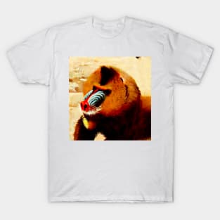 Mandrill T-Shirt